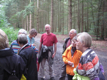 Bild 5 Elefantenkopf