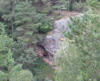 Bild 6 Elefantenkopf